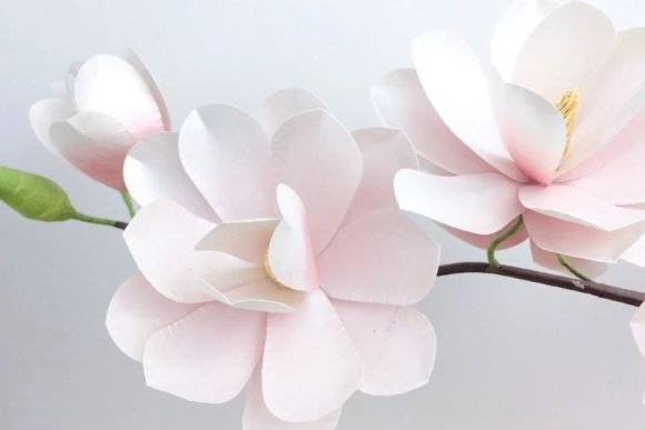 Magnolia Paper Flower 3D SVG
