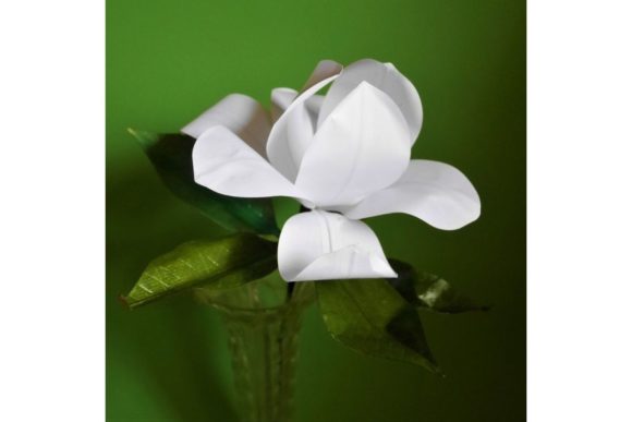 Southern Magnolia Paper Flower Templates
